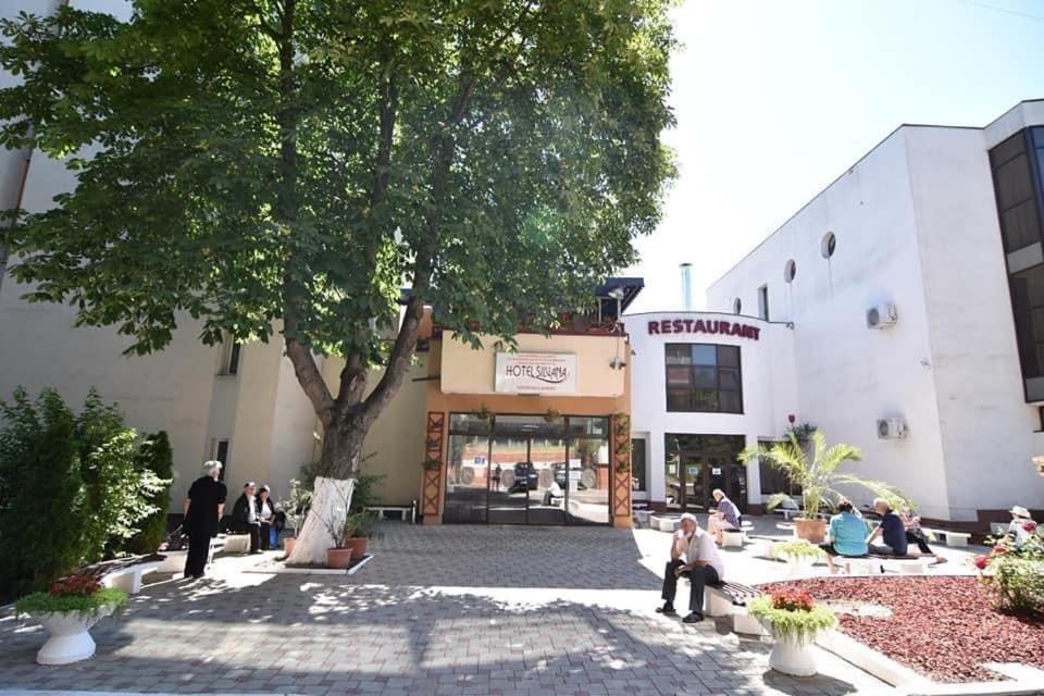 Hotel Silvana Buzias Bagian luar foto
